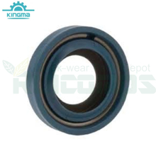 Stihl Oil seal BS15x25x5 9638 003 1581
