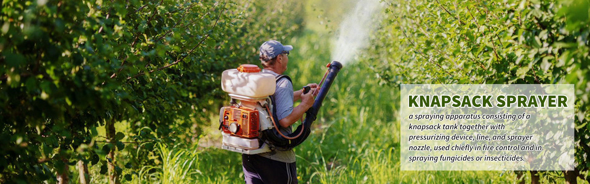 BARNNER1-20220808174619