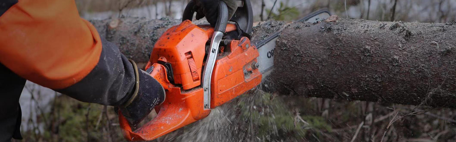 BARNNER2_20220809183124